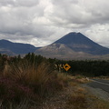 Tongariro NP 001