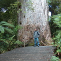 Waipoua Forrest 020