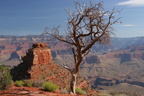 USA Grand Canyon juni08 029